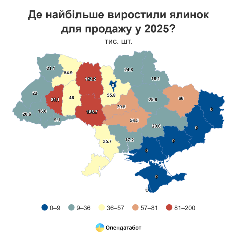 Найбільше новорічних дерев росте на Вінниччині та Житомирщині