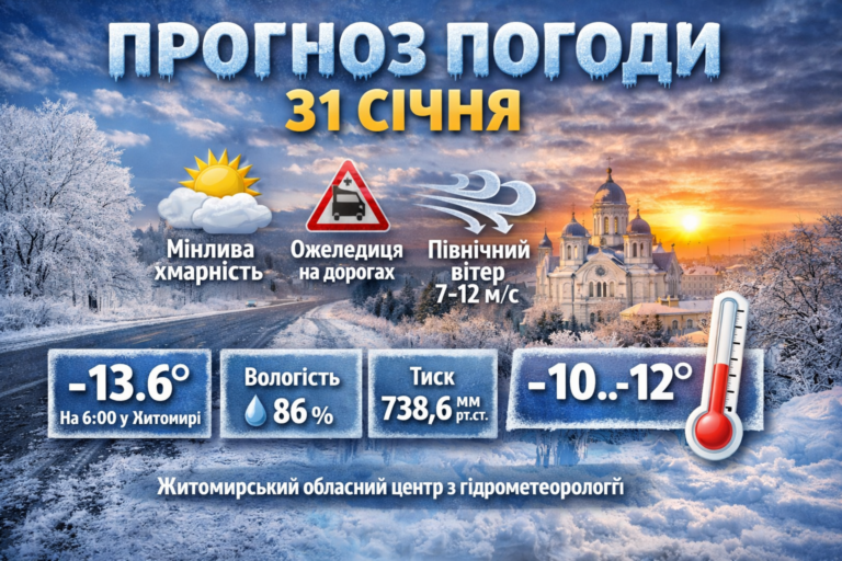 Прогноз погоди на день 31 січня по Житомирській області
