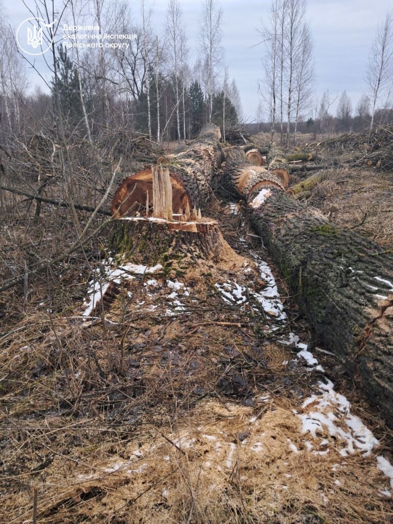 Екоінспекція через суд вимагає від Малинської міськради відшкодувати понад 3,3 млн грн шкоди, завданої лісу незаконними порубками