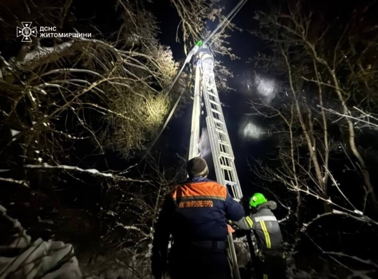Рятувальники працюють над ліквідацією наслідків негоди