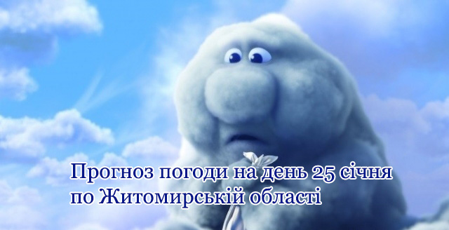 Сніг з дощем очікується сьогодні на Житомирщині