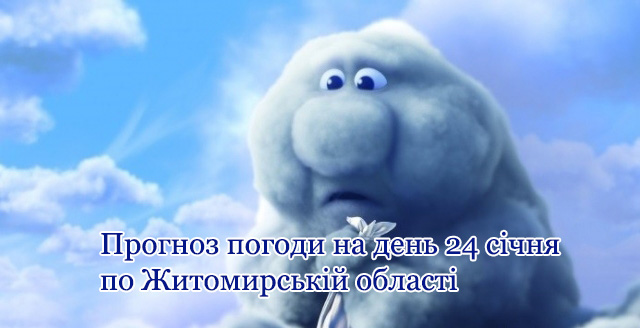 Прогноз погоди на день 24 січня по Житомирській області