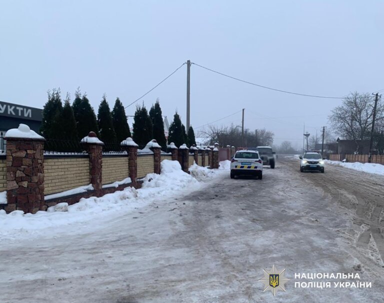 Викрав автомобіль та гаджет: житомирські поліцейські розшукали причетного
