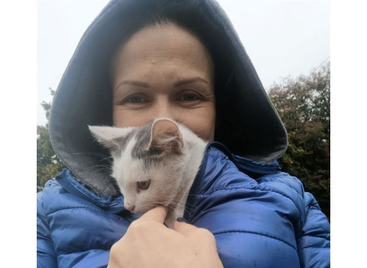 «Дім Котів» у Радомишлі
