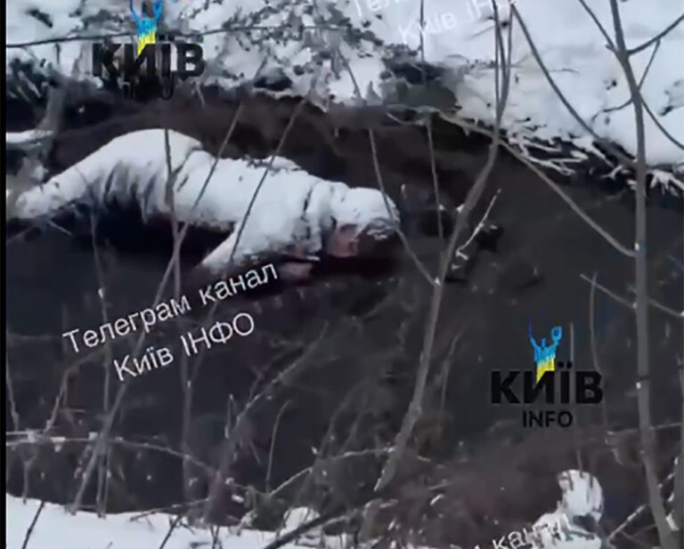 Труп молодої жінки знайшли у струмку в Києві. ВІДЕО