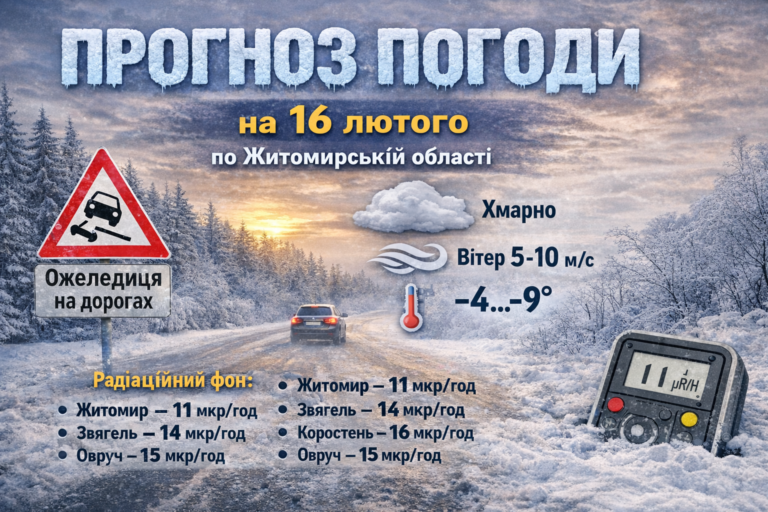Прогноз погоди на день 16 лютого по Житомирській області
