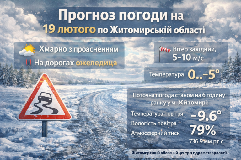 Прогноз погоди на день 19 лютого по Житомирській області