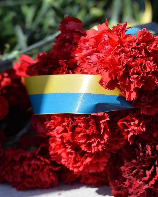 На щиті повернувся Герой …