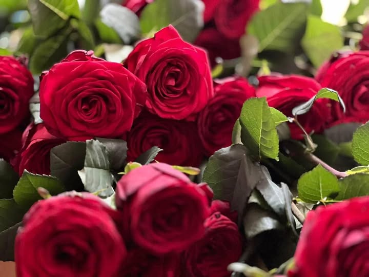 На війні загинула золота медалістка ліцею №25 Марія Бігун