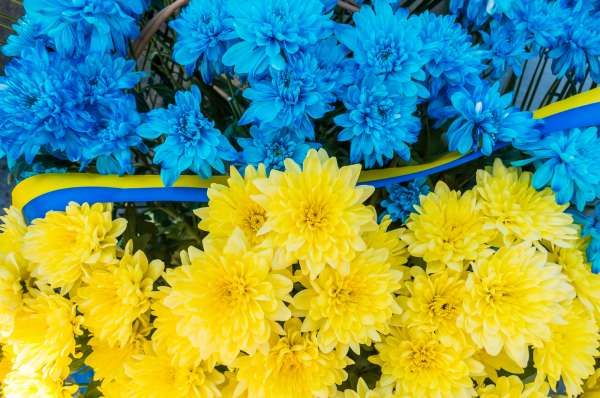 На щиті повернувся Воїн-Захисник…