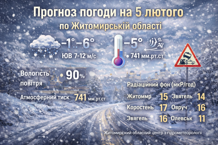 Прогноз погоди на день 5 лютого по Житомирській області