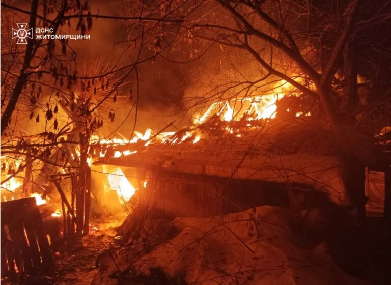 Під час гасіння пожежі в житловому будинку рятувальники виявили тіла двох людей