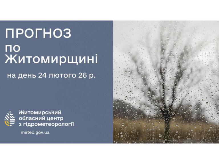 Прогноз погоди на день 24 лютого по Житомирській області