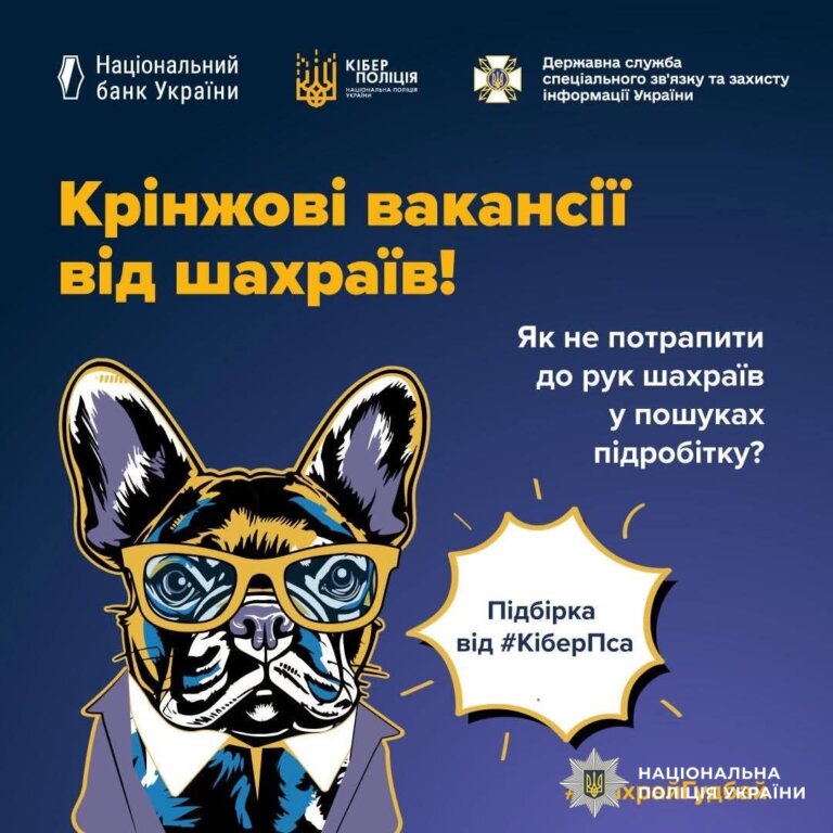 Віртуальна робота з реальними збитками: житомирські поліцейські застерігають від поширеної шахрайської схеми