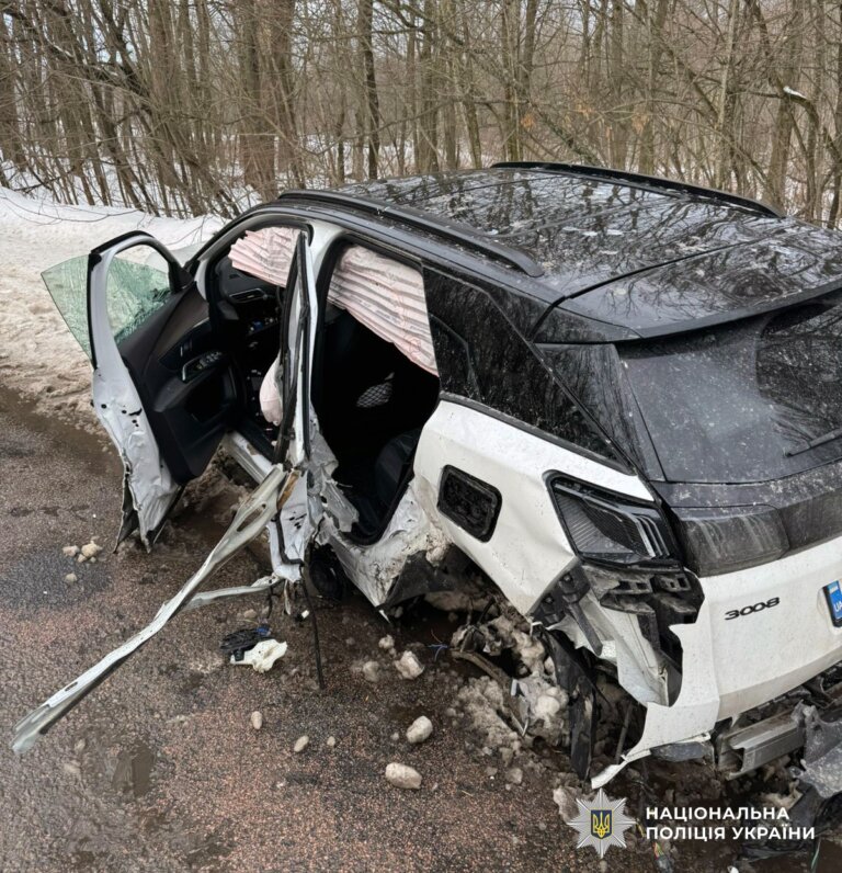 Поліцейські розслідують ДТП у Бердичівському районі