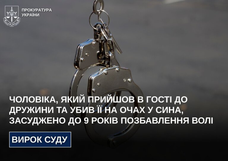 Чоловіка, який прийшов в гості до дружини та убив її на очах у сина, засуджено до 9 років позбавлення волі