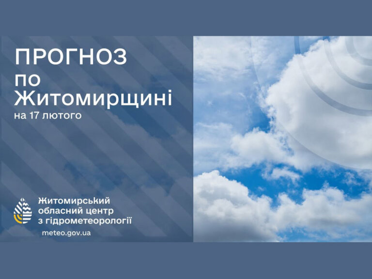 Прогноз погоди на день 17 лютого по Житомирській області