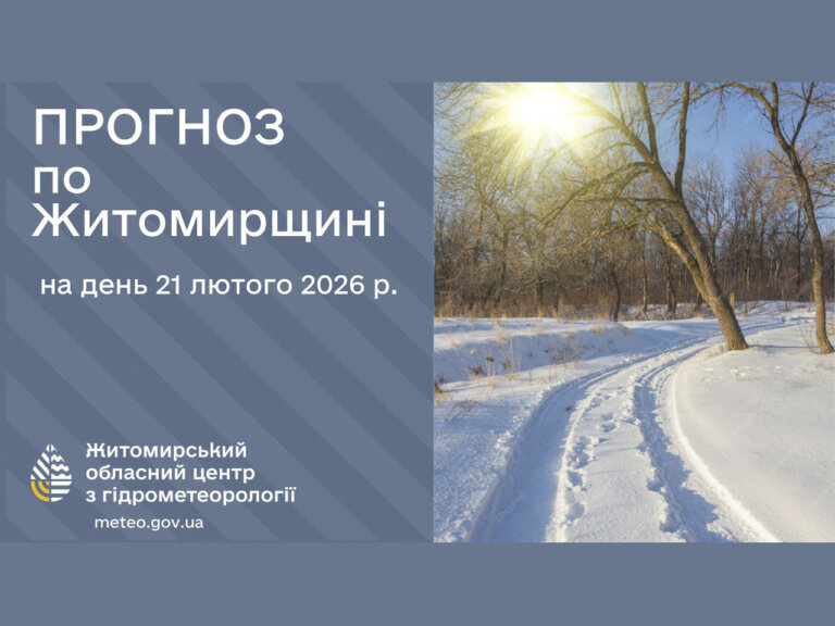 Прогноз погоди на день 21 лютого по Житомирській області
