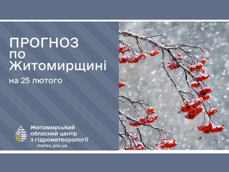 Прогноз погоди на день 25 лютого по Житомирській області
