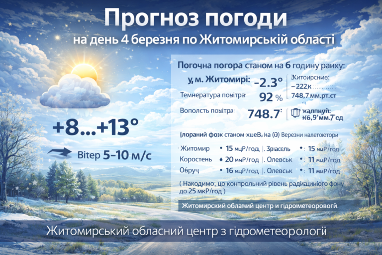 Прогноз погоди на день 4 березня по Житомирській області