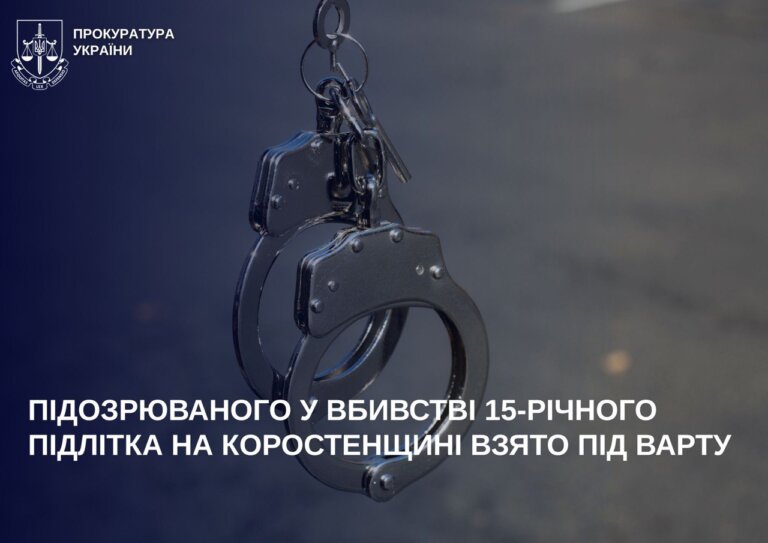 Підозрюваного у вбивстві 15-річного підлітка на Коростенщині взято під варту