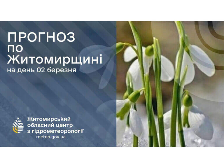 Прогноз погоди на день 2 березня по Житомирській області