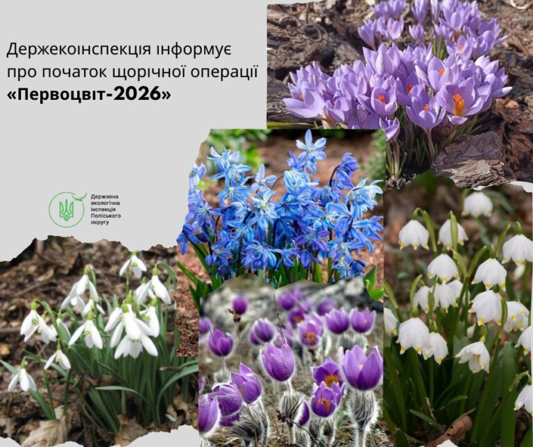 Первоцвіти під охороною: на Житомирщині та Рівненщині стартують заходи зі збереження рідкісних червонокнижних рослин