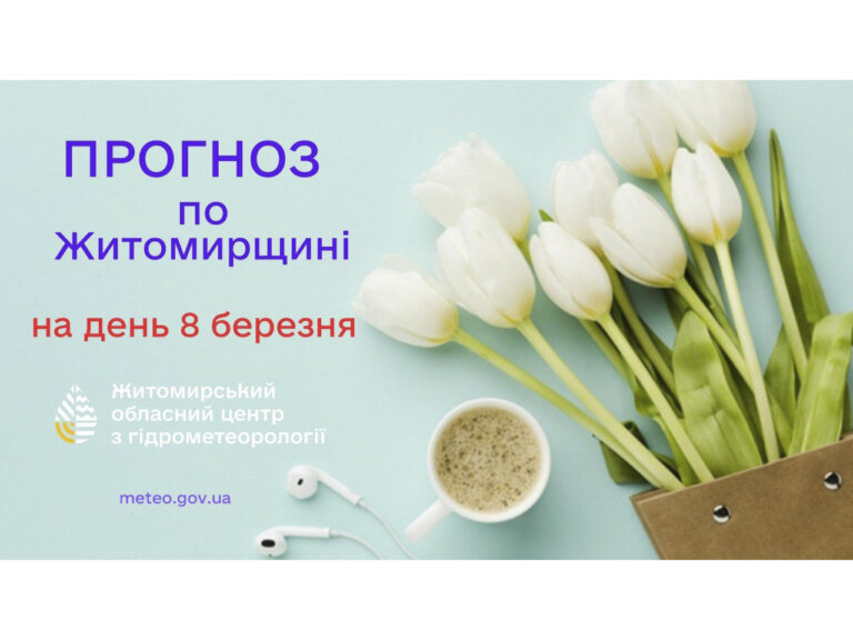 Прогноз погоди на день 8 березня по Житомирській області