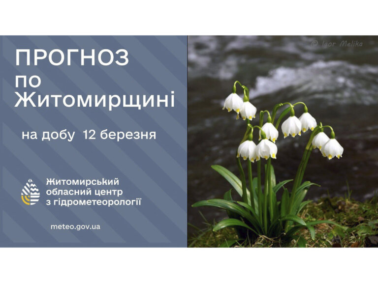 Прогноз погоди на день 12 березня по Житомирській області