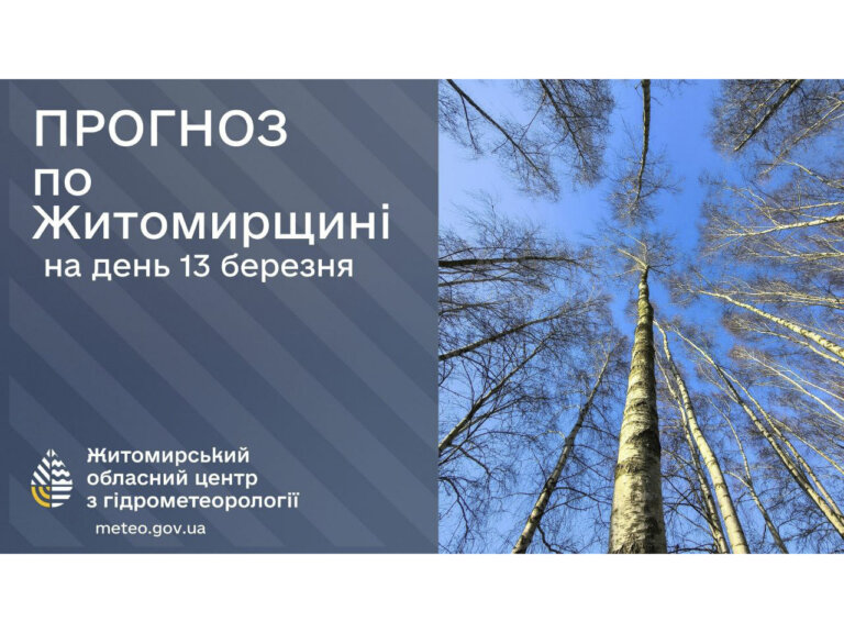 Прогноз погоди на день 13 березня по Житомирській області