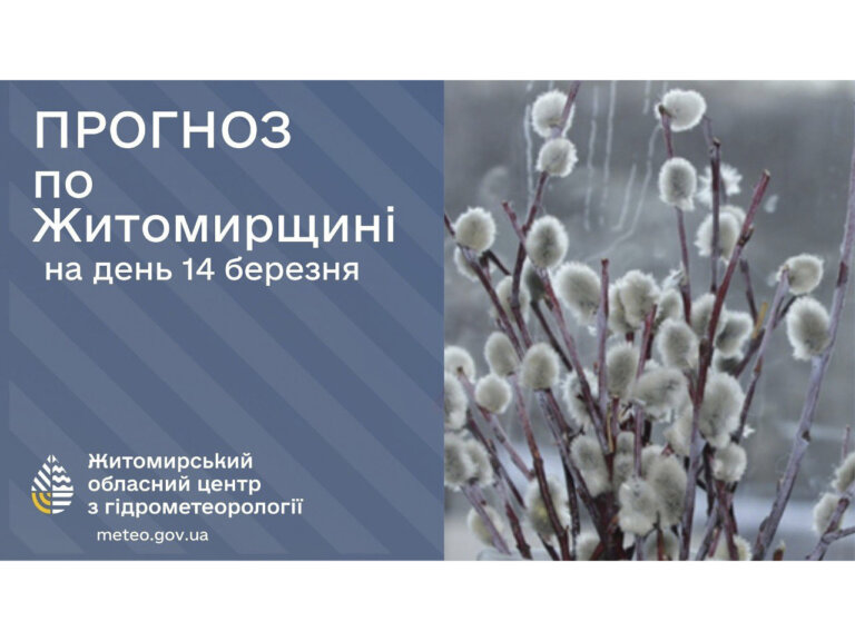 Прогноз погоди на день 14 березня по Житомирській області