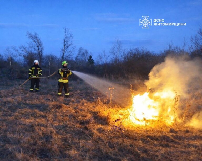 Рятувальники ліквідовують пожежі в природних екосистемах