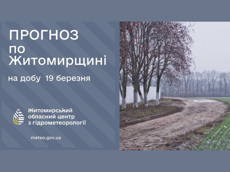 Прогноз погоди на день 19 березня по Житомирській області