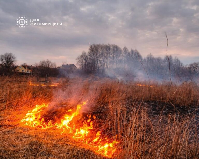Під час пожежі сухої рослинності травмувався чоловік
