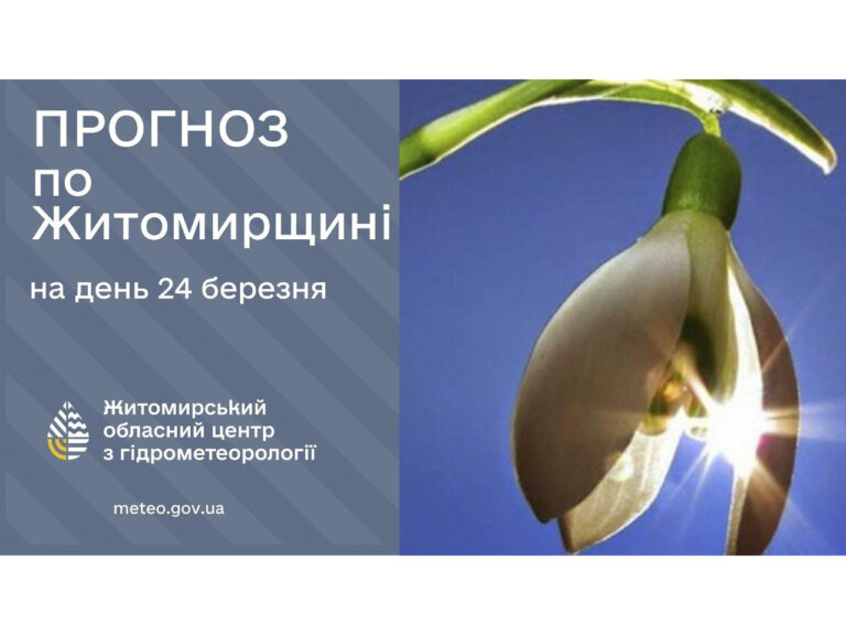 Прогноз погоди на день 24 березня по Житомирській області