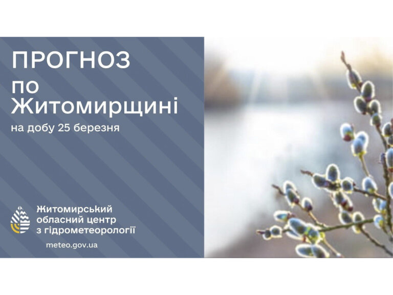 Прогноз погоди на день 25 березня по Житомирській області