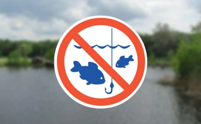Держрибагентство: З 1 квітня на водоймах України стартує щорічна нерестова заборона