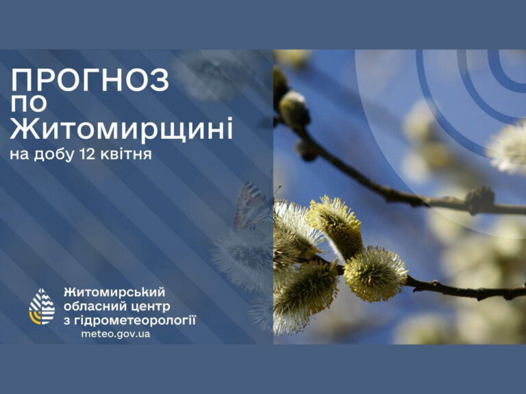 Вночі та вранці 13 і 14 квітня у Житомирській області сильні заморозки у повітрі 0..3°