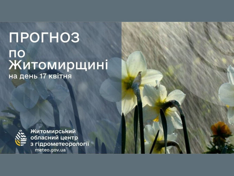 Прогноз погоди на день 17 квітня по Житомирській області