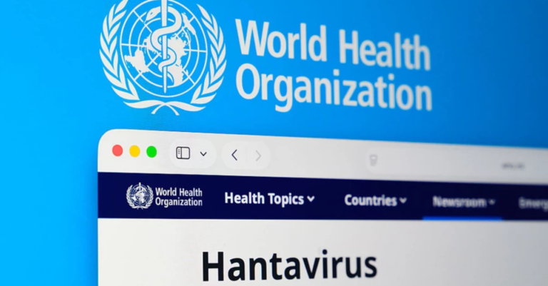 «Хантавірус біля кордонів: чи готується Житомирщина до нової паніки після COVID?»