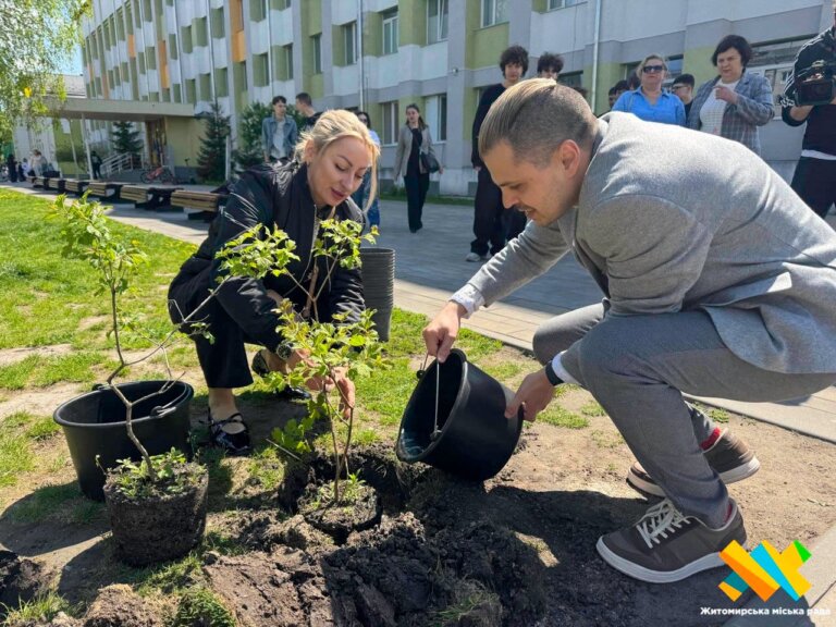Калинова алея з’явилася біля ліцею №23 у Житомирі