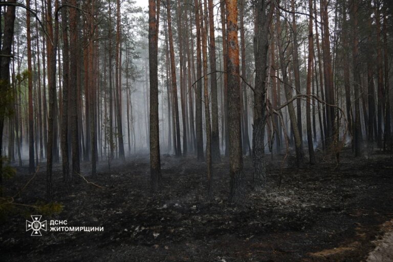 Масштабну пожежу, що виникла на Житомирщині на території Поліського природнього заповідника, локалізовано на площі 500 га