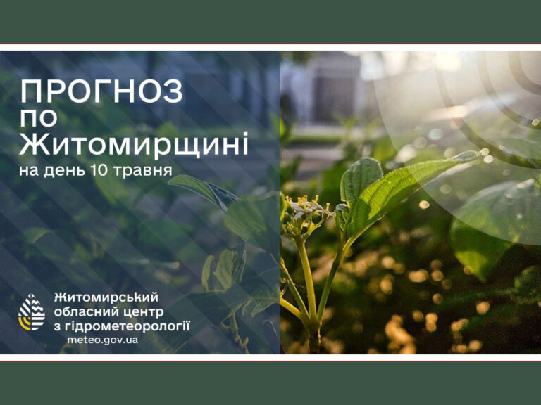 Погода сьогодні на Житомирщині