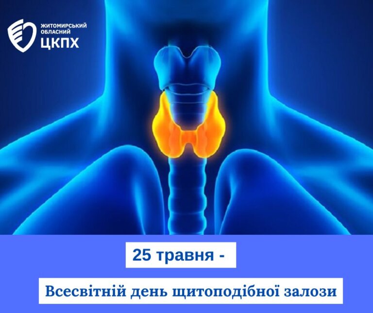 Щитоподібна залоза: маленький орган із великою відповідальністю