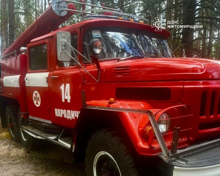 На Житомирщині ліквідували лісову пожежу, що виникла внаслідок падіння уламків російського безпілотника