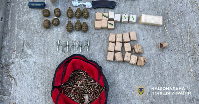 На Житомирщині поліцейські виявили наркотики та вилучили з незаконного обігу зброю і набої