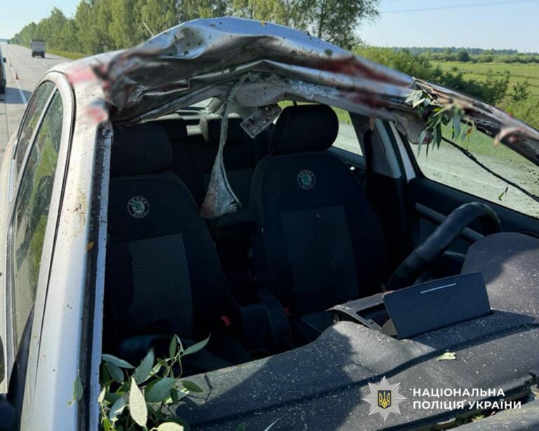 Автівка насмерть збила лося на Коростенщині, – поліція