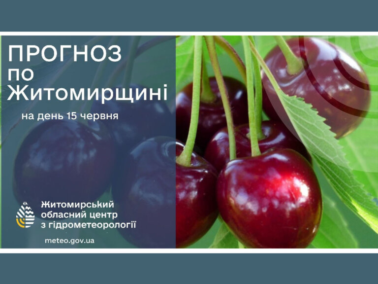 Погода сьогодні на Житомирщині