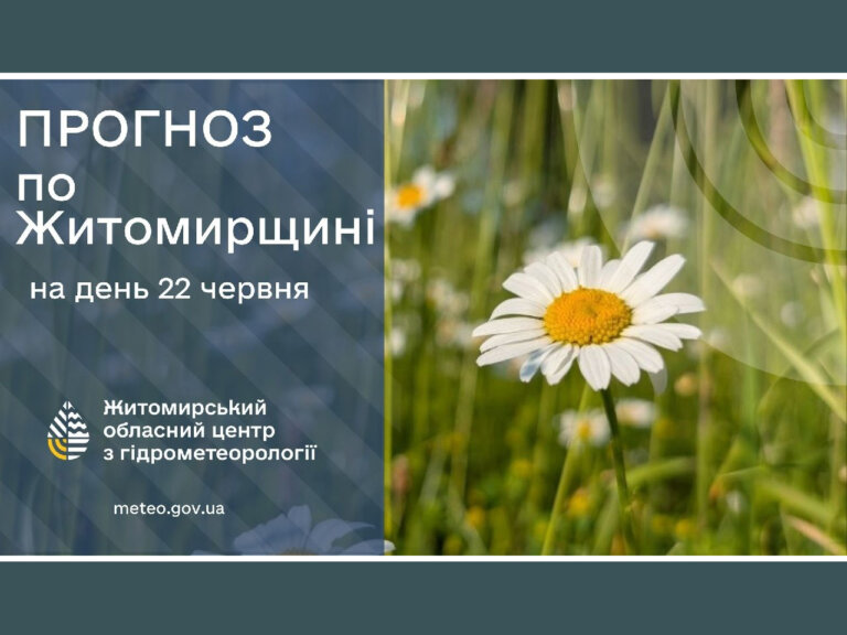 Спекотний понеділок у Житомирі