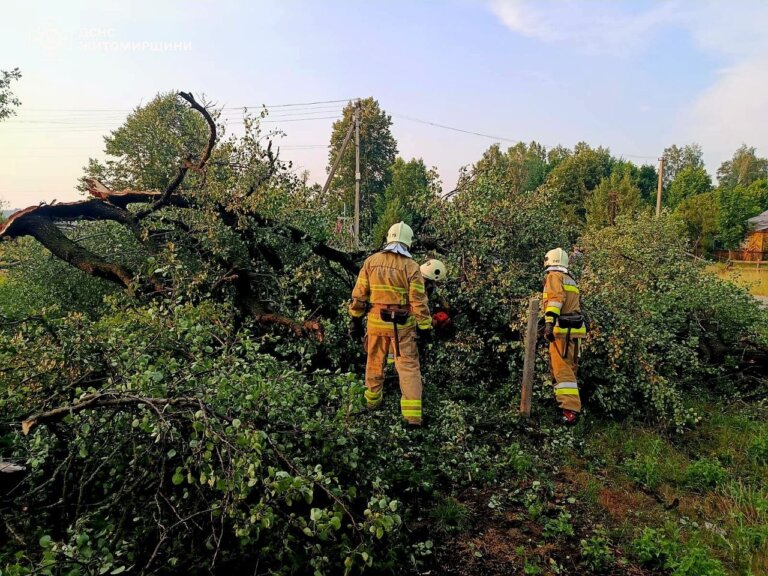 Підрозділи ДСНС області сім разів минулої доби залучалися до ліквідації наслідків негоди